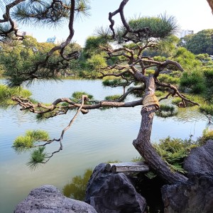 Giardino giapponese Japanese garden Ph: Paolo Magri