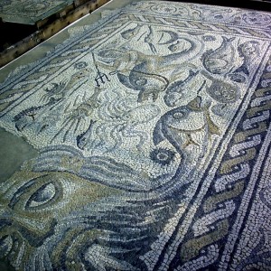 Luni, Museo archeologico nazionale, mosaici romani/roman mosaics